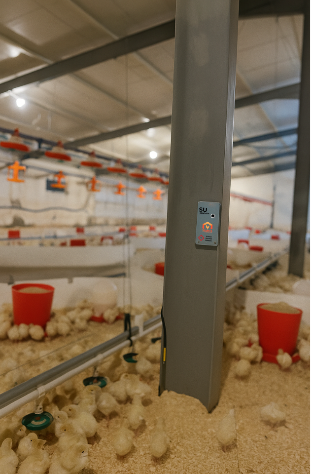 "Erpiliç, eKümes ile Çiftlik Yönetimini Dijitalleştiriyor" - Görsel 6